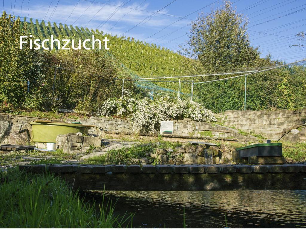 Hotel Kartause Ittingen Warth-Weiningen Exterior foto