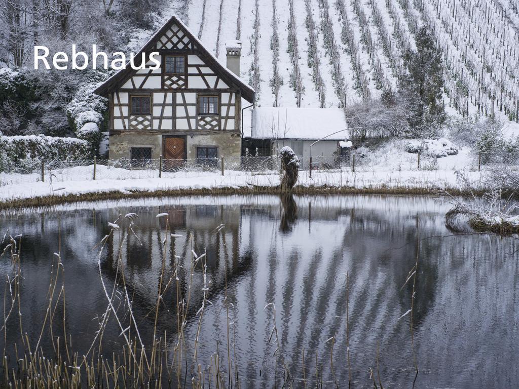 Hotel Kartause Ittingen Warth-Weiningen Exterior foto
