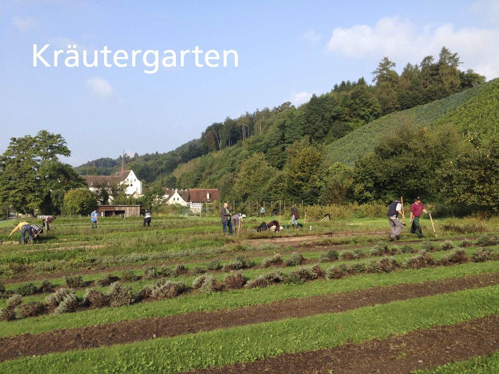 Hotel Kartause Ittingen Warth-Weiningen Exterior foto