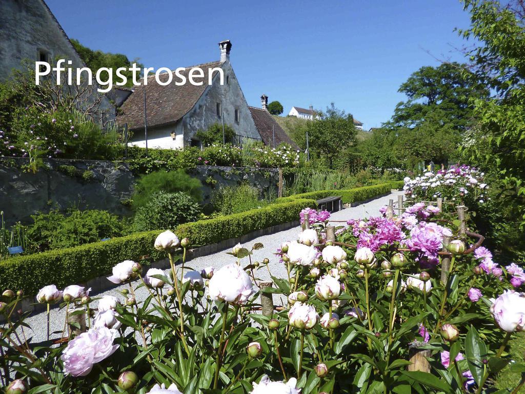 Hotel Kartause Ittingen Warth-Weiningen Exterior foto